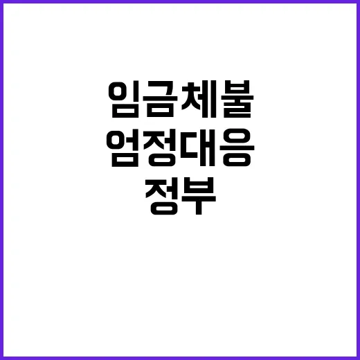 임금체불 중대범죄 …