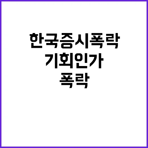 한국 증시 폭락 지금이 기회인가?