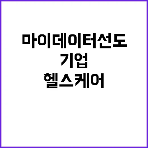 마이데이터 선도 카…