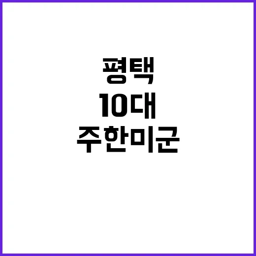 평택 10대 주한미…