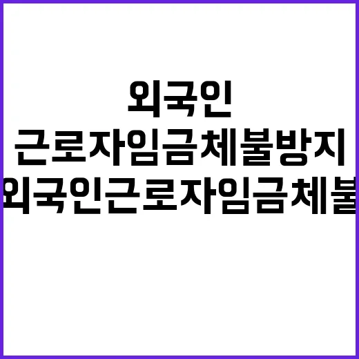 외국인근로자 임금체…