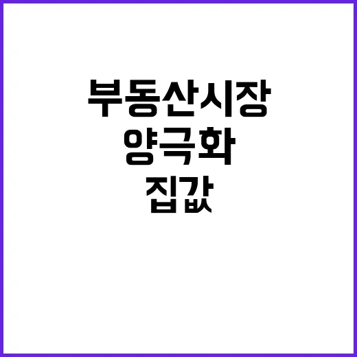 집값 양극화 부동산…