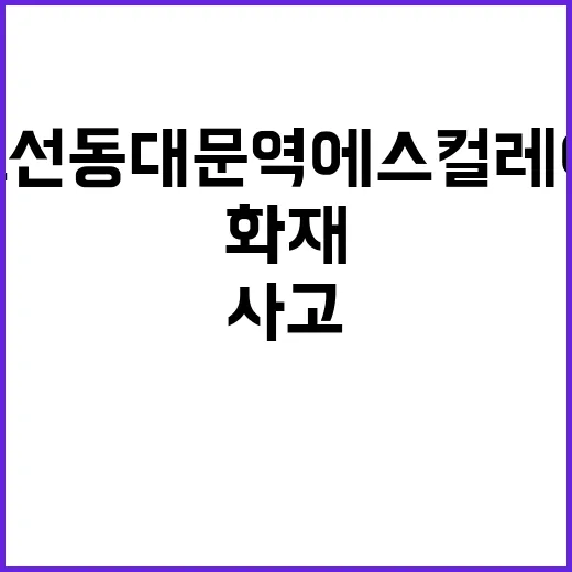 화재 4호선 동대문…