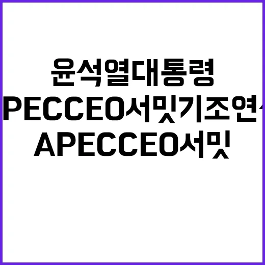 윤석열 대통령 APEC CEO 서밋 기조연설 주목