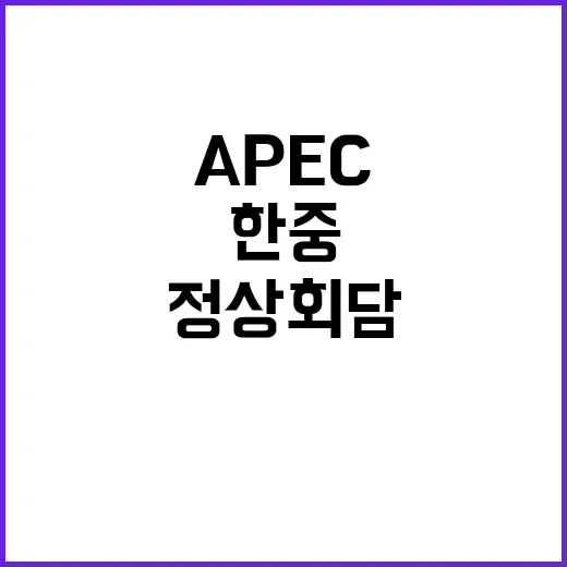 APEC 정상회담 …