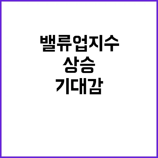 밸류업 지수 특별변…