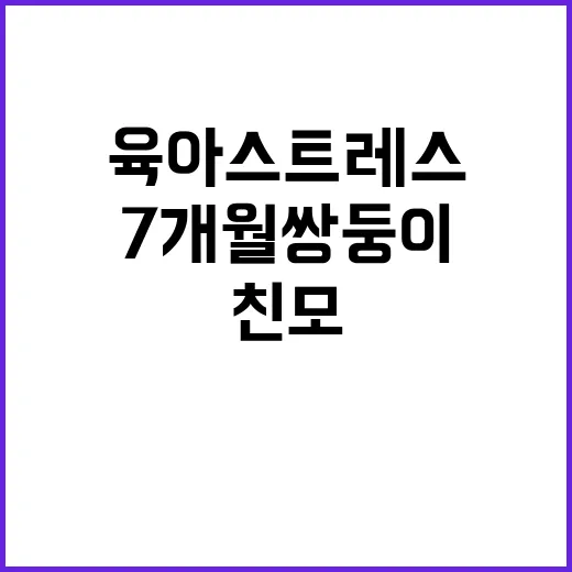 육아 스트레스 7개월 쌍둥이 비극 친모 구속