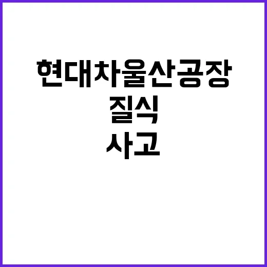 현대차 울산공장 사…