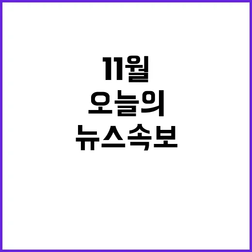 11월 뉴스 속보 오늘의 주요 이슈와 사건들