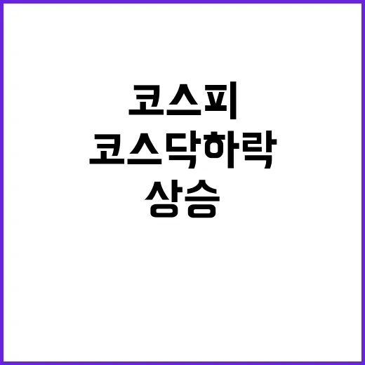 코스피 상승 코스닥…