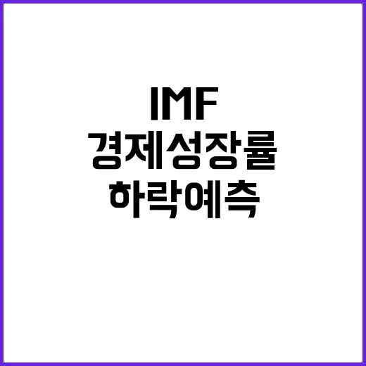 IMF 한국 경제 …