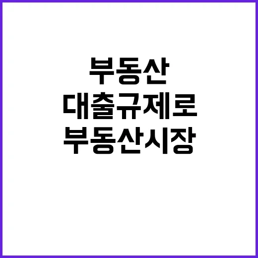 수도권 마피 급증 …