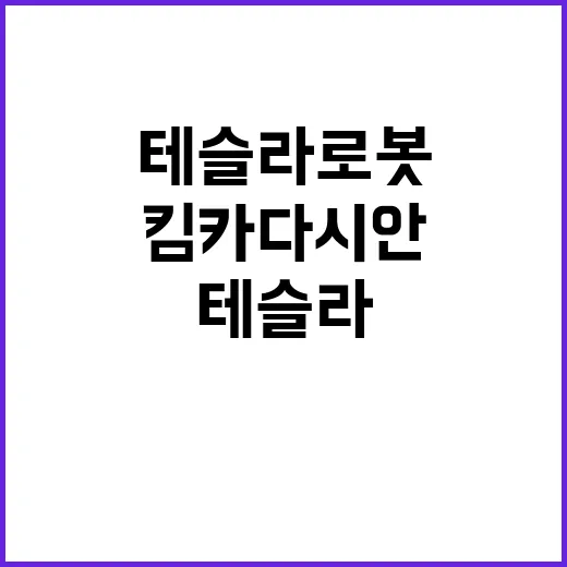 킴 카다시안 테슬라…