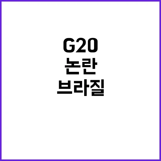 브라질 G20 회담…