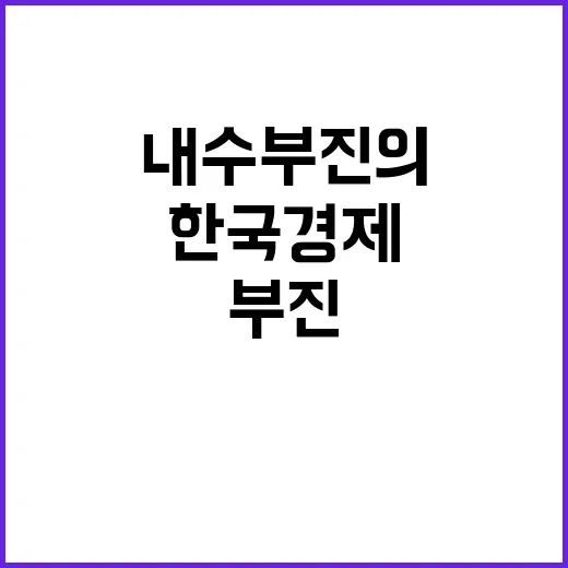 한국 경제 내수 부…