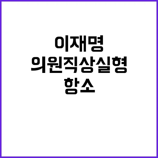 이재명 항소! 의원…