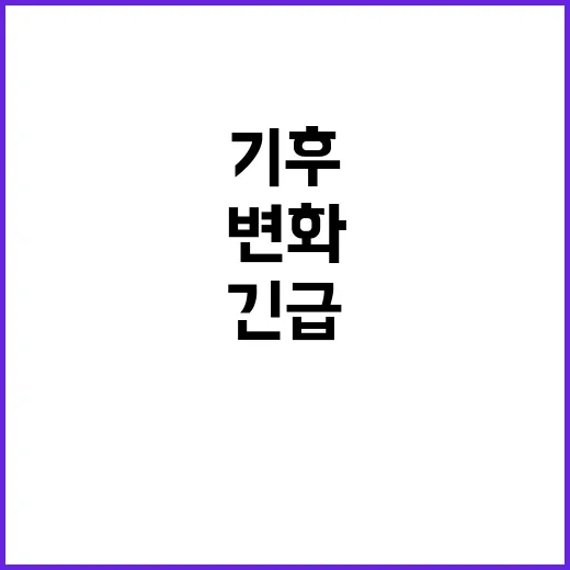 긴급뉴스 전세계 경…