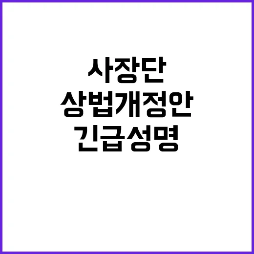 상법 개정안 대기업…