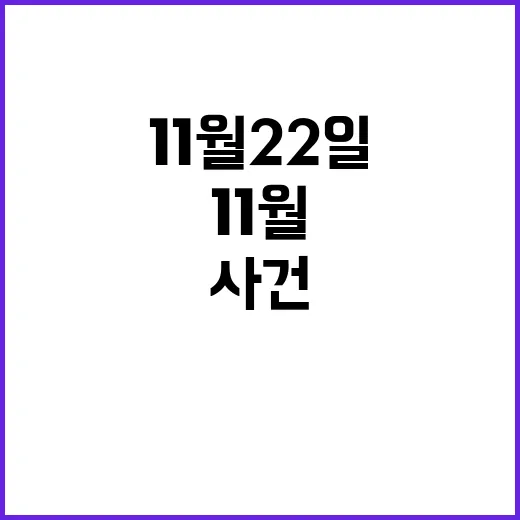 11월 22일 특별…