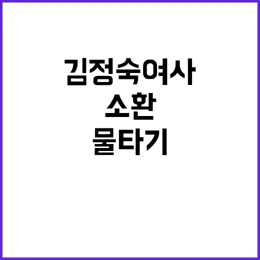 김정숙 여사 소환 …