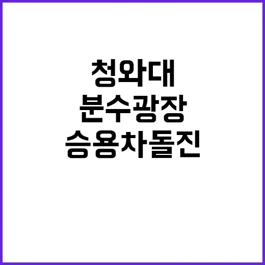 청와대 분수광장 승…