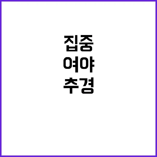 추경 압박 감세 집…