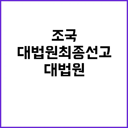 조국 판결 대법원 …