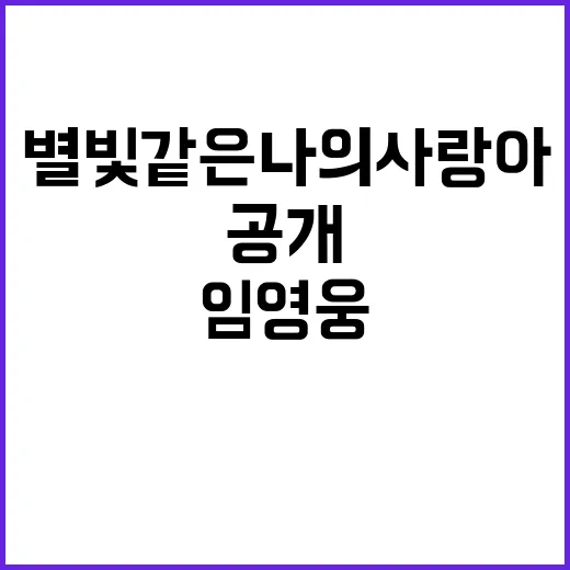 임영웅 라이브 클립…