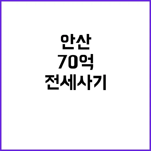 안산 전세사기 70…