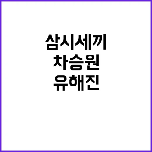 김치 불화 차승원과…