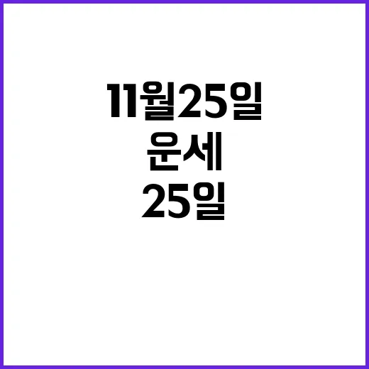 운세 11월 25일…