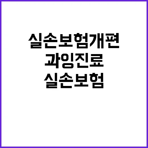 실손보험 개편 고령…