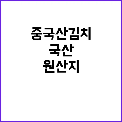 중국산 김치 국산 …