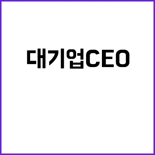 대기업 CEO SK…