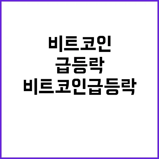 비트코인 급등락 투…