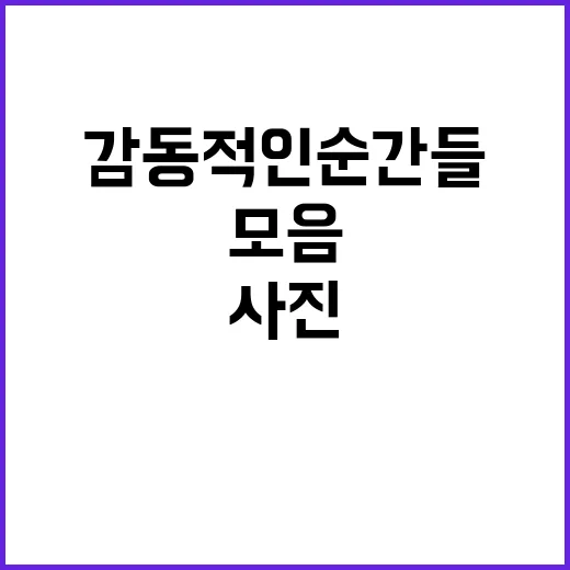 K리그 챔피언 골든…