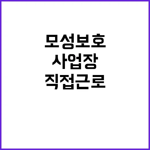 모성보호 고용부의 …