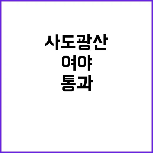 청소년 아이돌 보호…