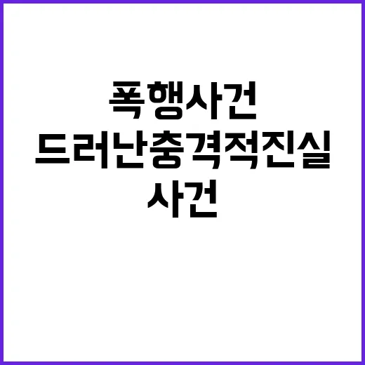 경찰 애인 폭행 사…