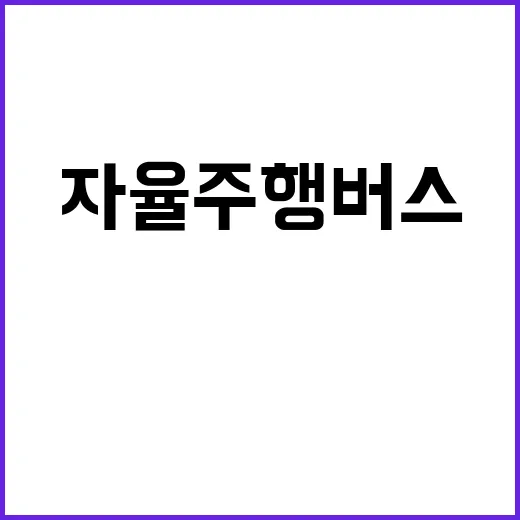 자율주행버스 새벽 …