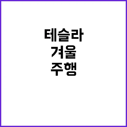 테슬라 겨울 주행거…