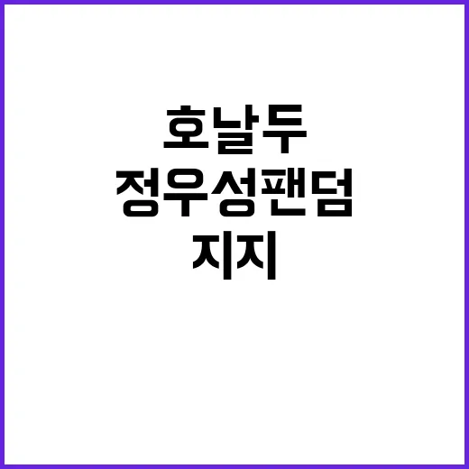 정우성 팬덤 호날두…