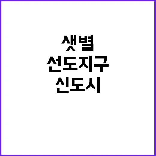 신도시 선도지구 분…