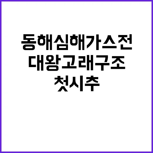 대왕고래 구조 동해…