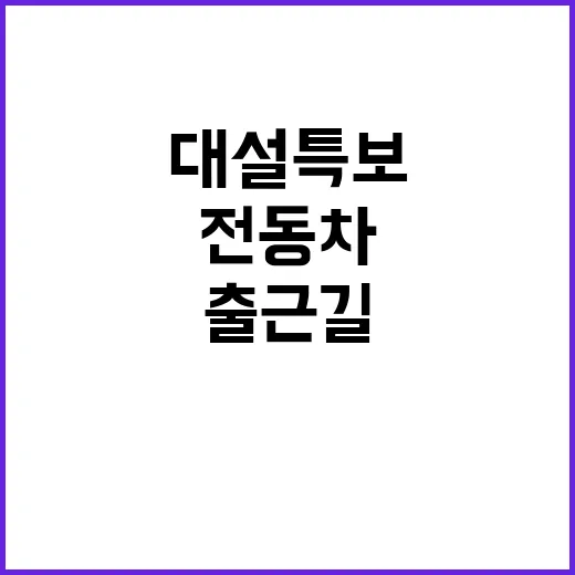 대설특보 늘어난 출…