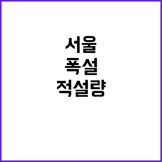 서울 폭설 관악 4…