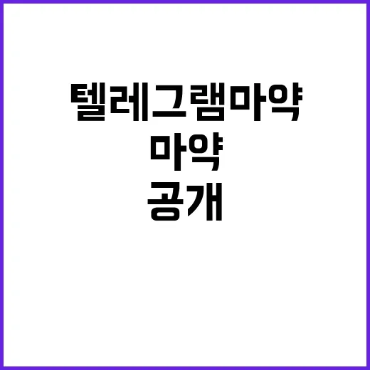 텔레그램 마약 조직…