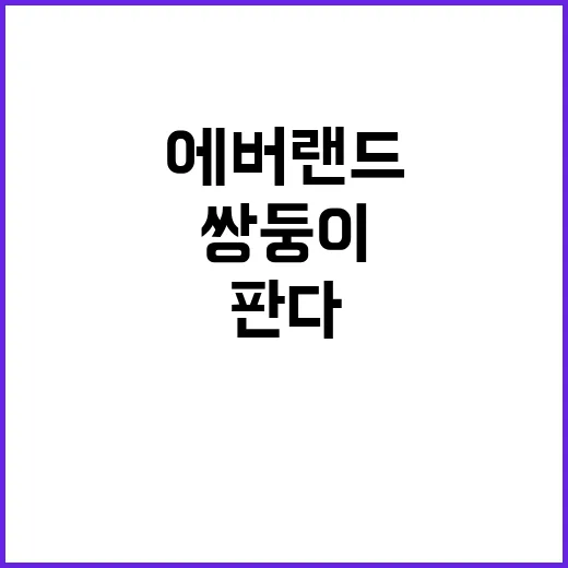 아기판다 쌍둥이의 …