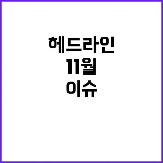 11월 이슈 필수 …