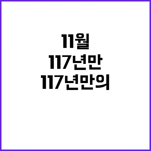 11월 폭설 기록 …